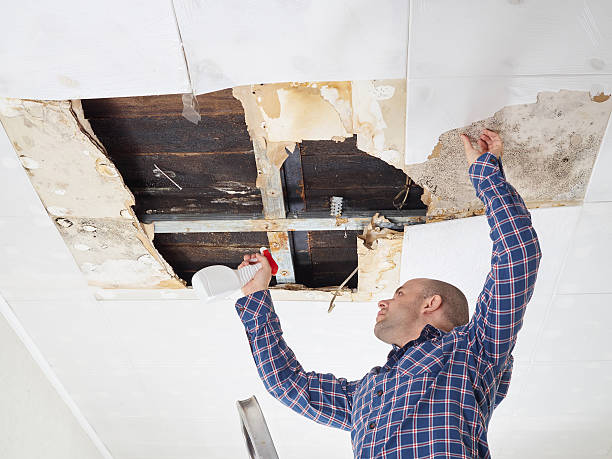 Best Mold Removal for HVAC Installations  in Winfield, TN